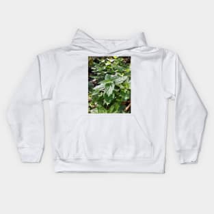 Nettle Kids Hoodie